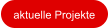 aktuelle Projekte